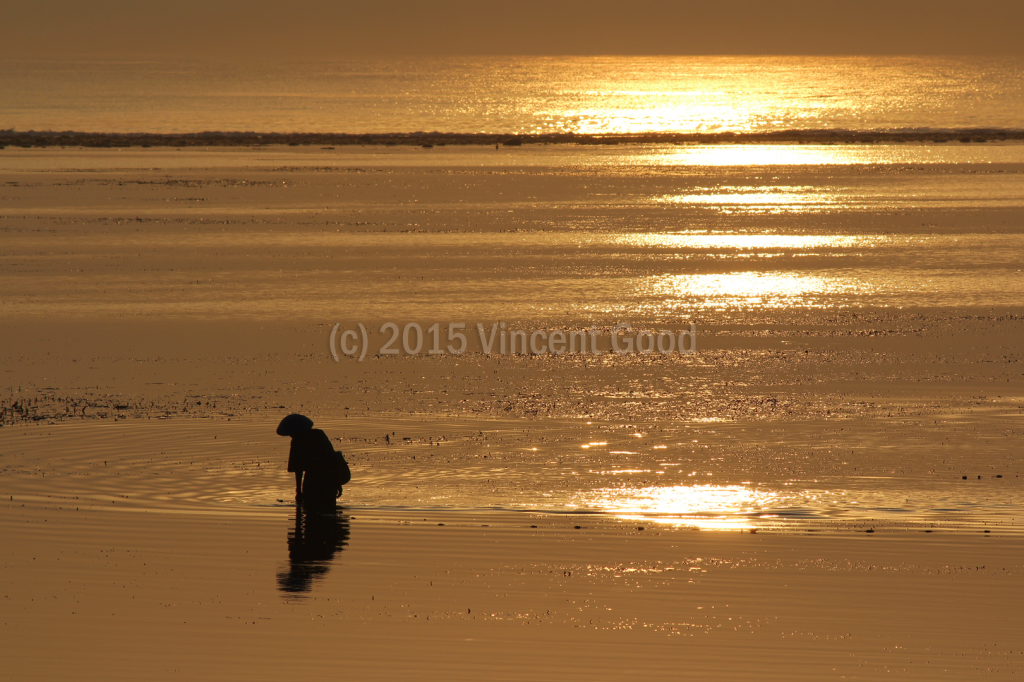 IMG_1113_edited